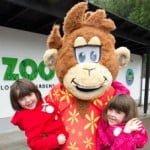 Zoo in Belfast